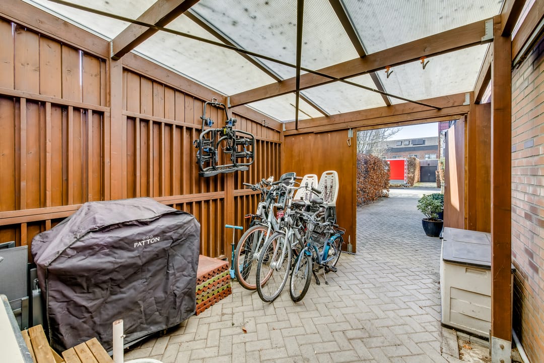 Foto 37 van Pijlstaartvlinder 11