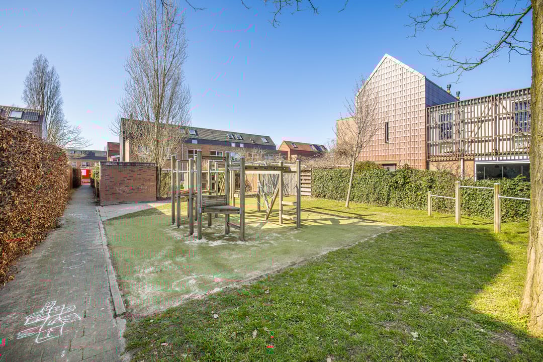 Foto 38 van Pijlstaartvlinder 11