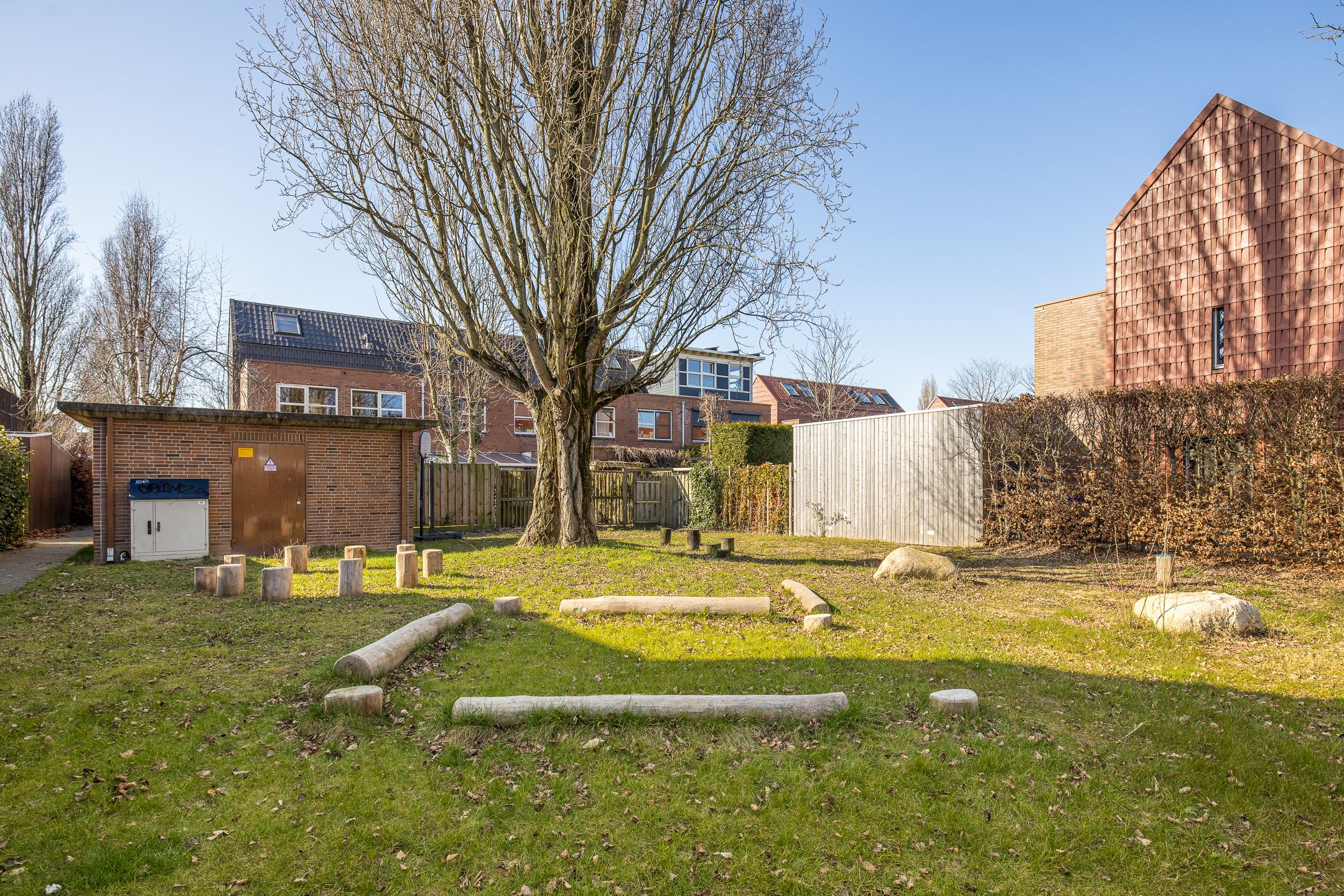 Foto 39 van Pijlstaartvlinder 11