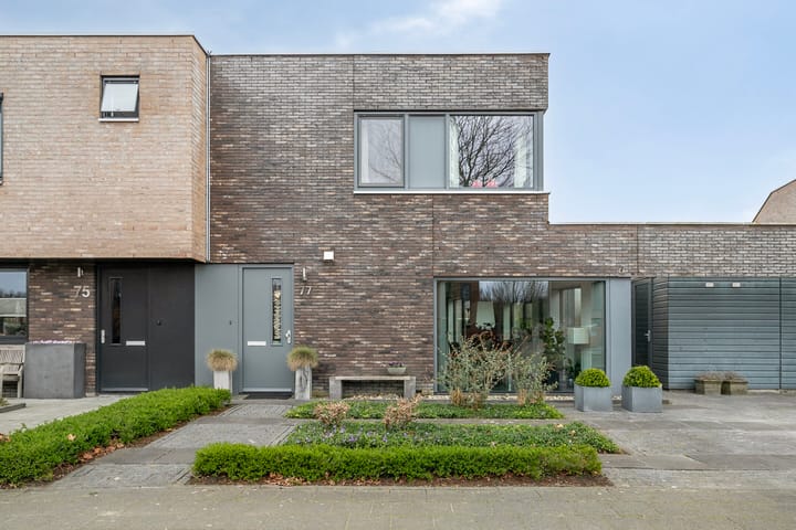 Foto 7 van Grasland 77