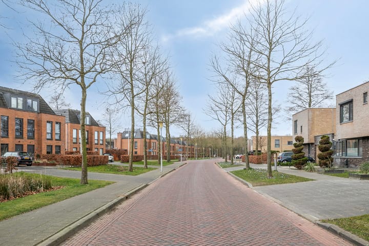 Foto 43 van Grasland 77