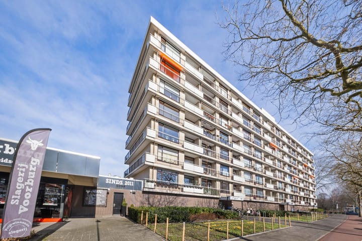 Photo 35 of Monseigneur van Steelaan 243