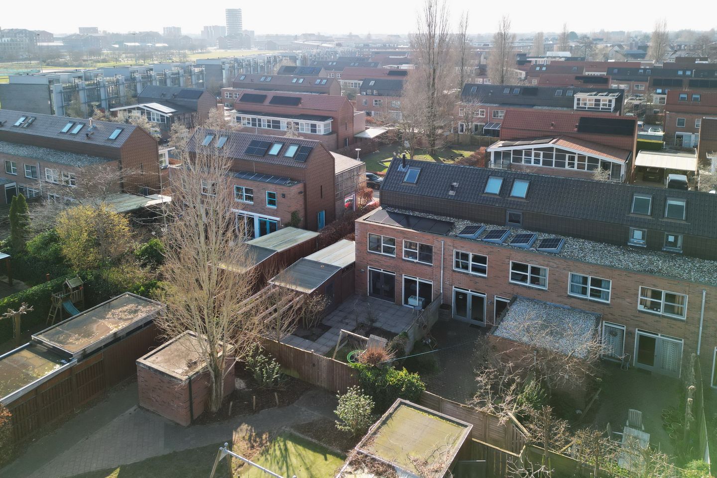 Foto 40 van Pijlstaartvlinder 11