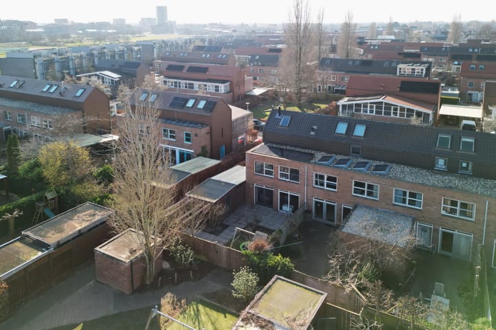 Foto 40 van Pijlstaartvlinder 11