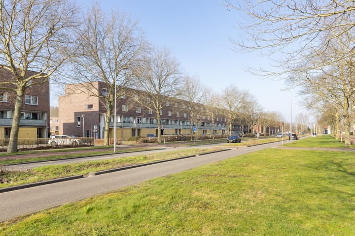 Photo 55 of Prof. Zonnebloemlaan 53