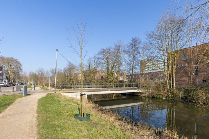 Photo 57 of Prof. Zonnebloemlaan 53