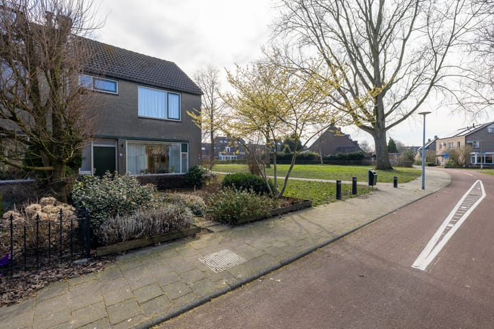 Foto 2 van Mastmeen 25