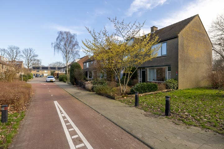 Foto 3 van Mastmeen 25