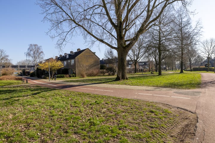 Foto 30 van Mastmeen 25