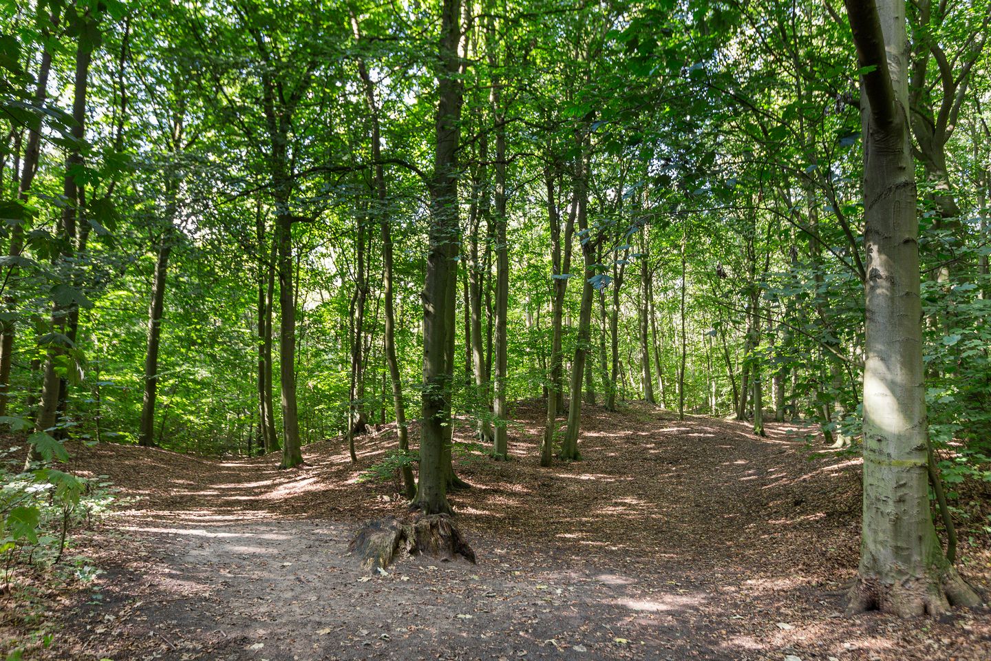 Foto 49 van D v Voornelaan 17