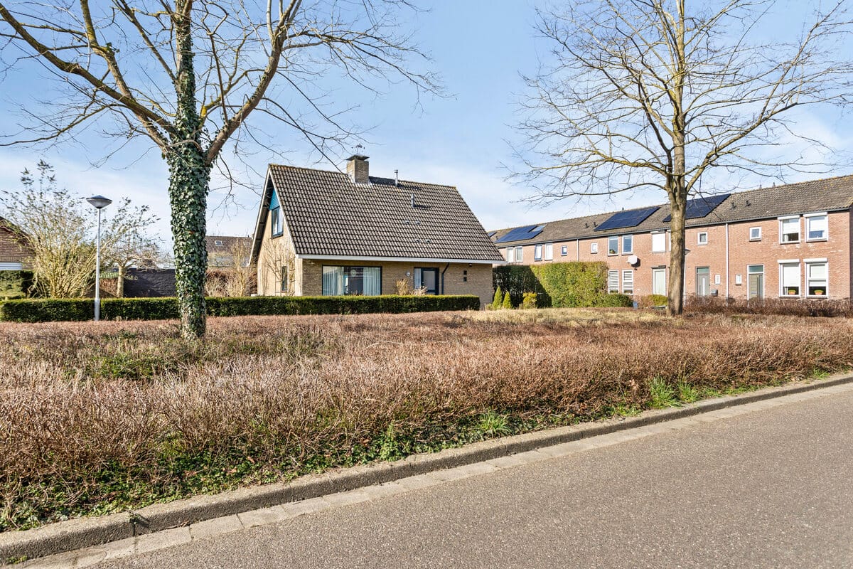 Foto 35 van Zouterik 1