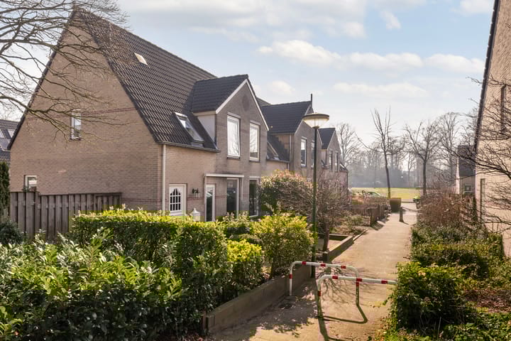 Foto 4 van Burgemeester Fabiuspark 28