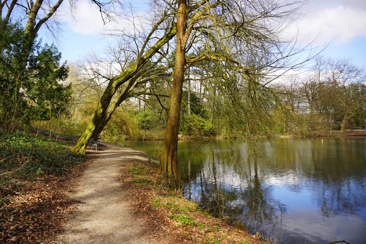 Foto 30 van Geraniumstraat 42-B