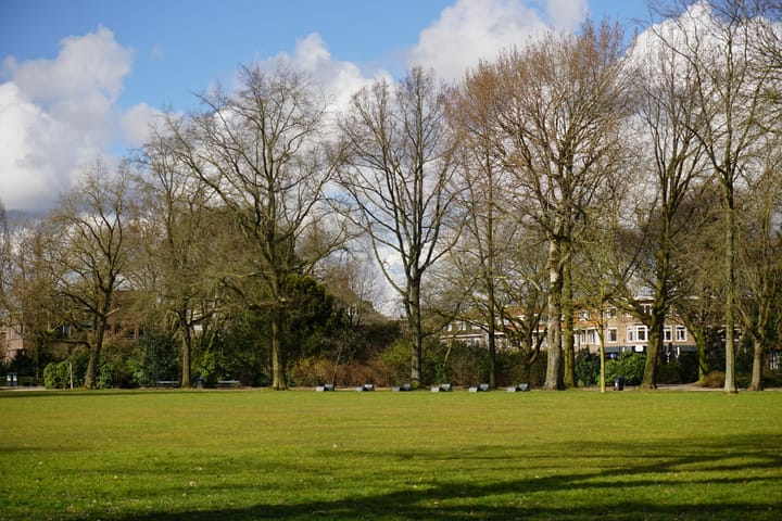 Foto 31 van Geraniumstraat 42-B