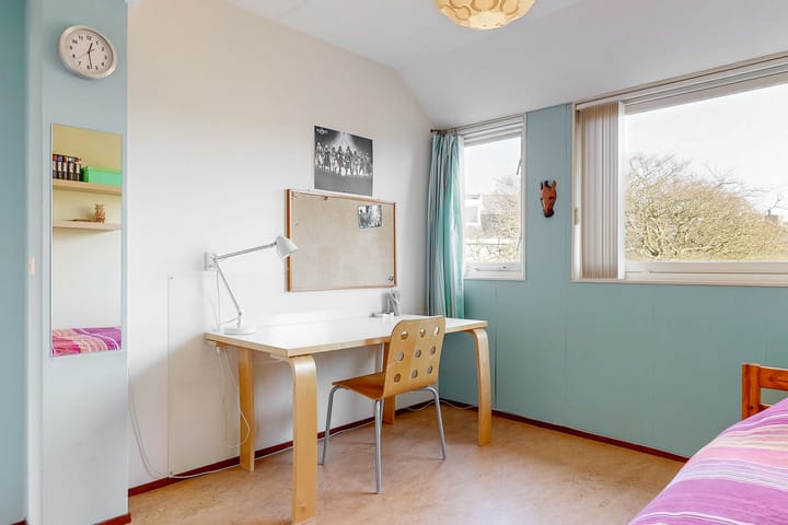 Foto 15 van Smetanahof 26