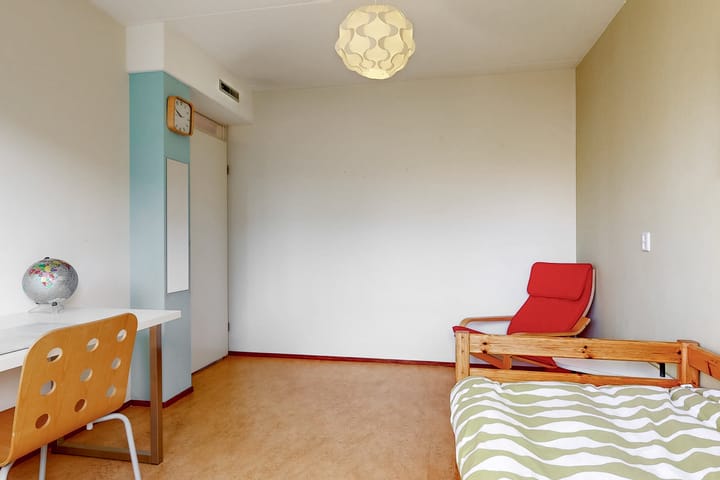 Foto 18 van Smetanahof 26