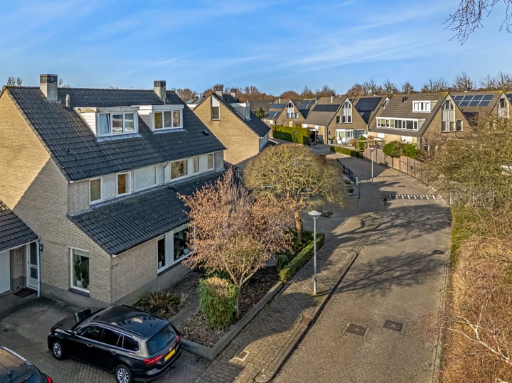 Foto 32 van Smetanahof 26