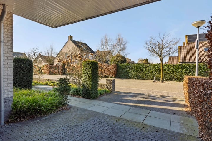 Foto 45 van De Jonglaan 41