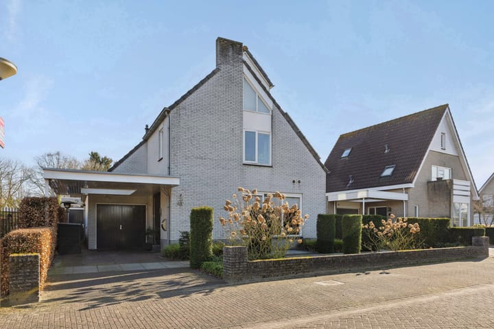 Foto 46 van De Jonglaan 41