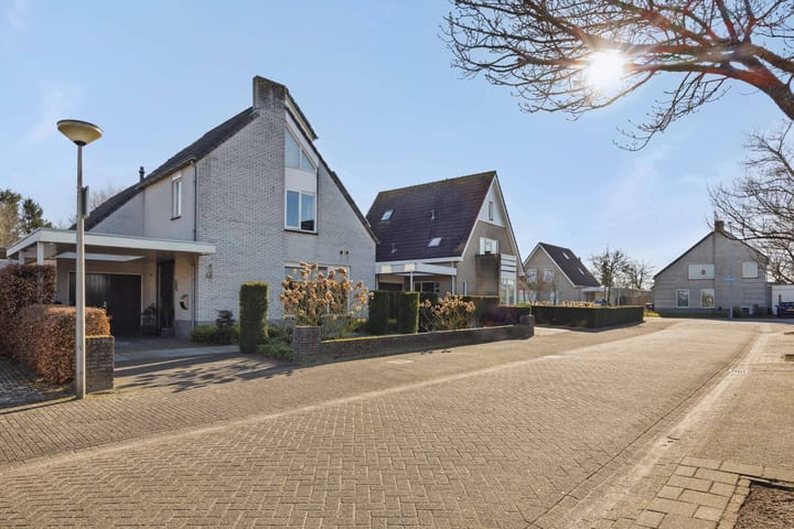 Foto 47 van De Jonglaan 41