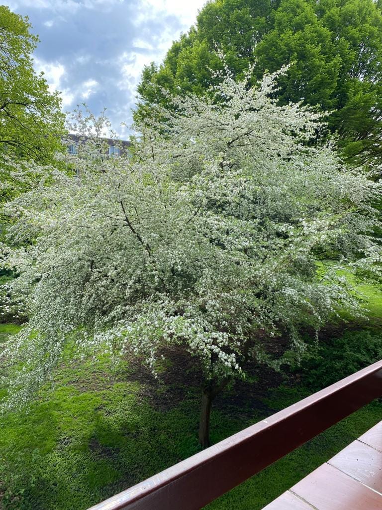 Foto 5 van Van Leijenberghlaan 403-2