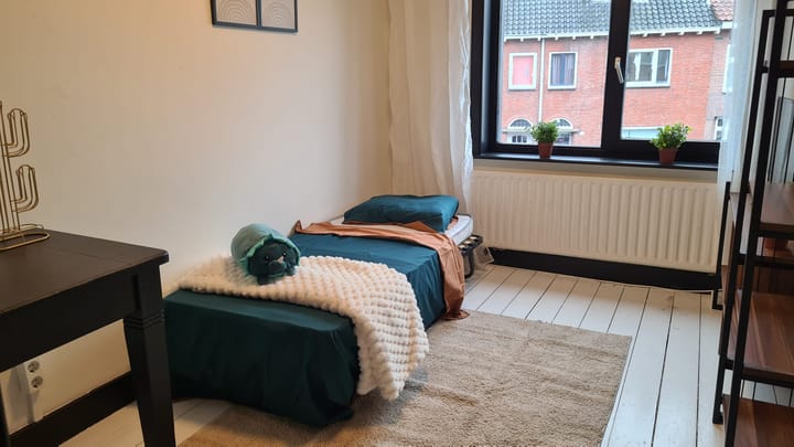 Foto 11 van Van Meterenstraat 25