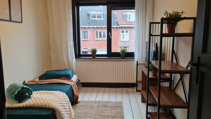 Foto 12 van Van Meterenstraat 25