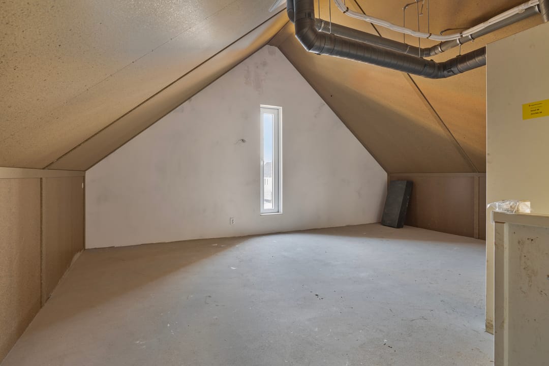 Photo 23 of Stuifmeel 23