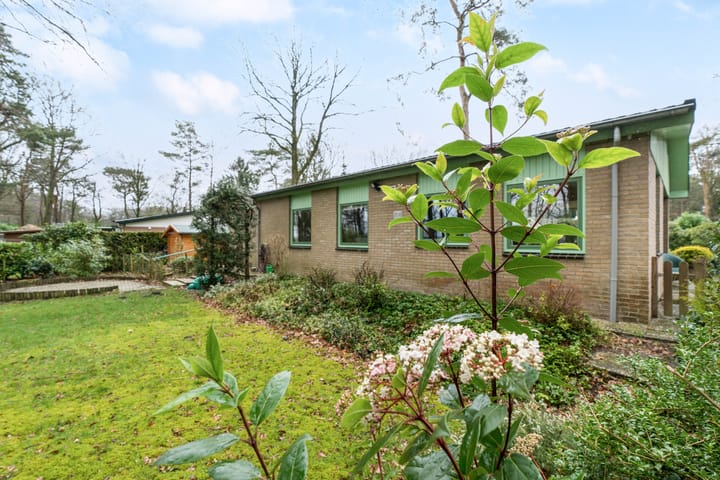 Photo 2 of Kievit 12-B020