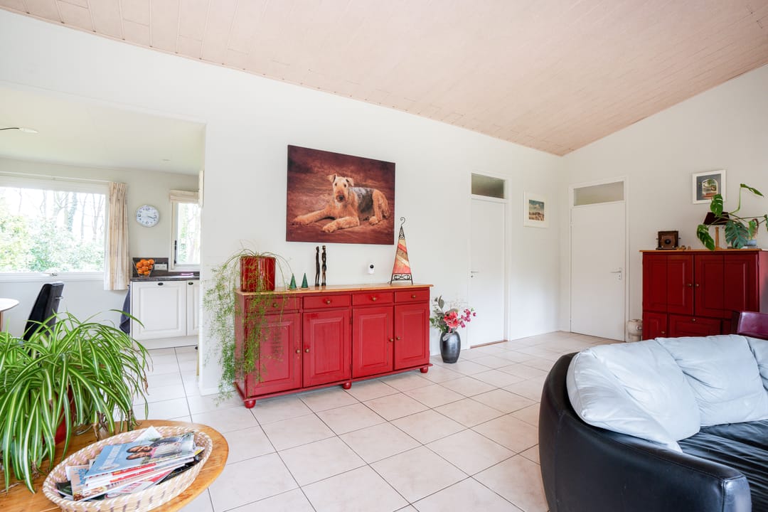 Photo 7 of Kievit 12-B020