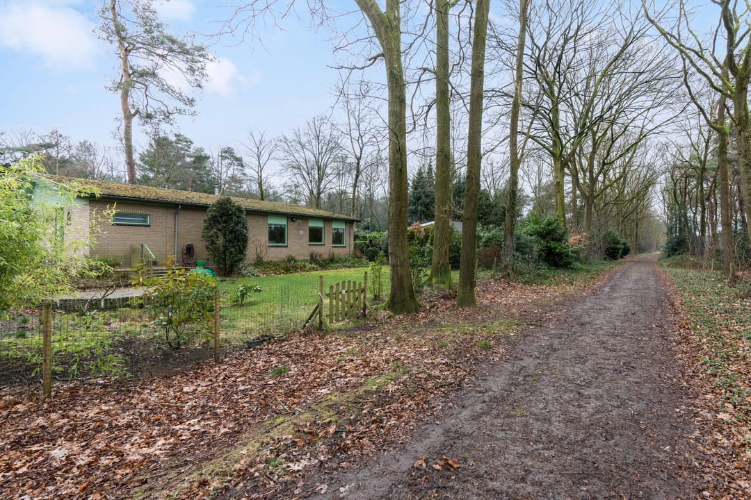 Photo 23 of Kievit 12-B020