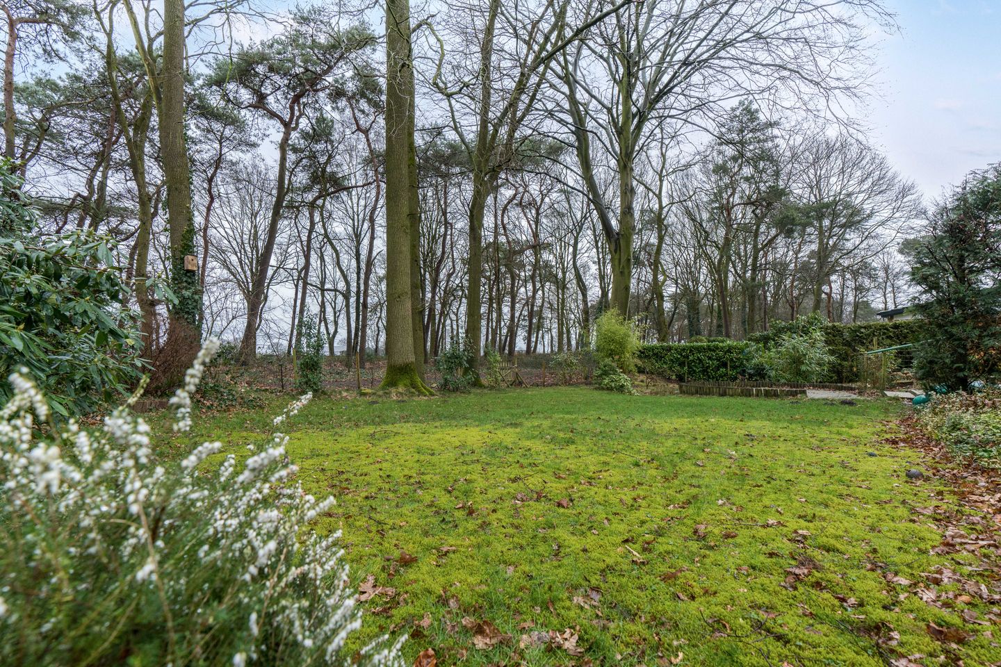 Photo 25 of Kievit 12-B020