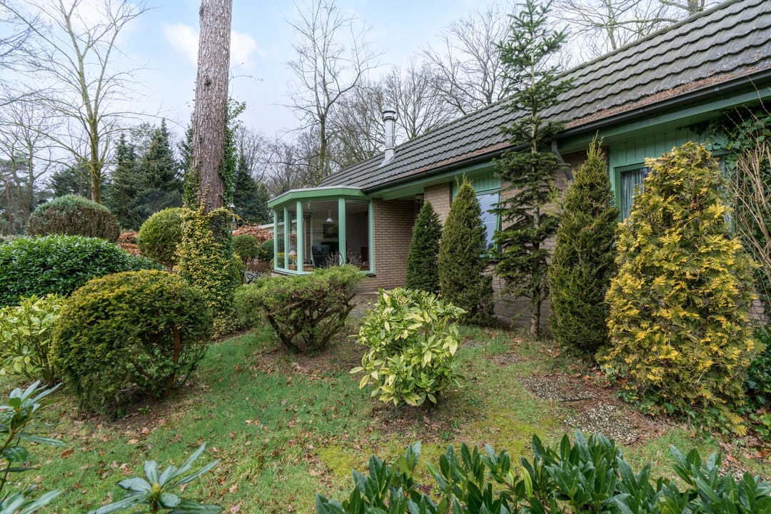 Photo 26 of Kievit 12-B020