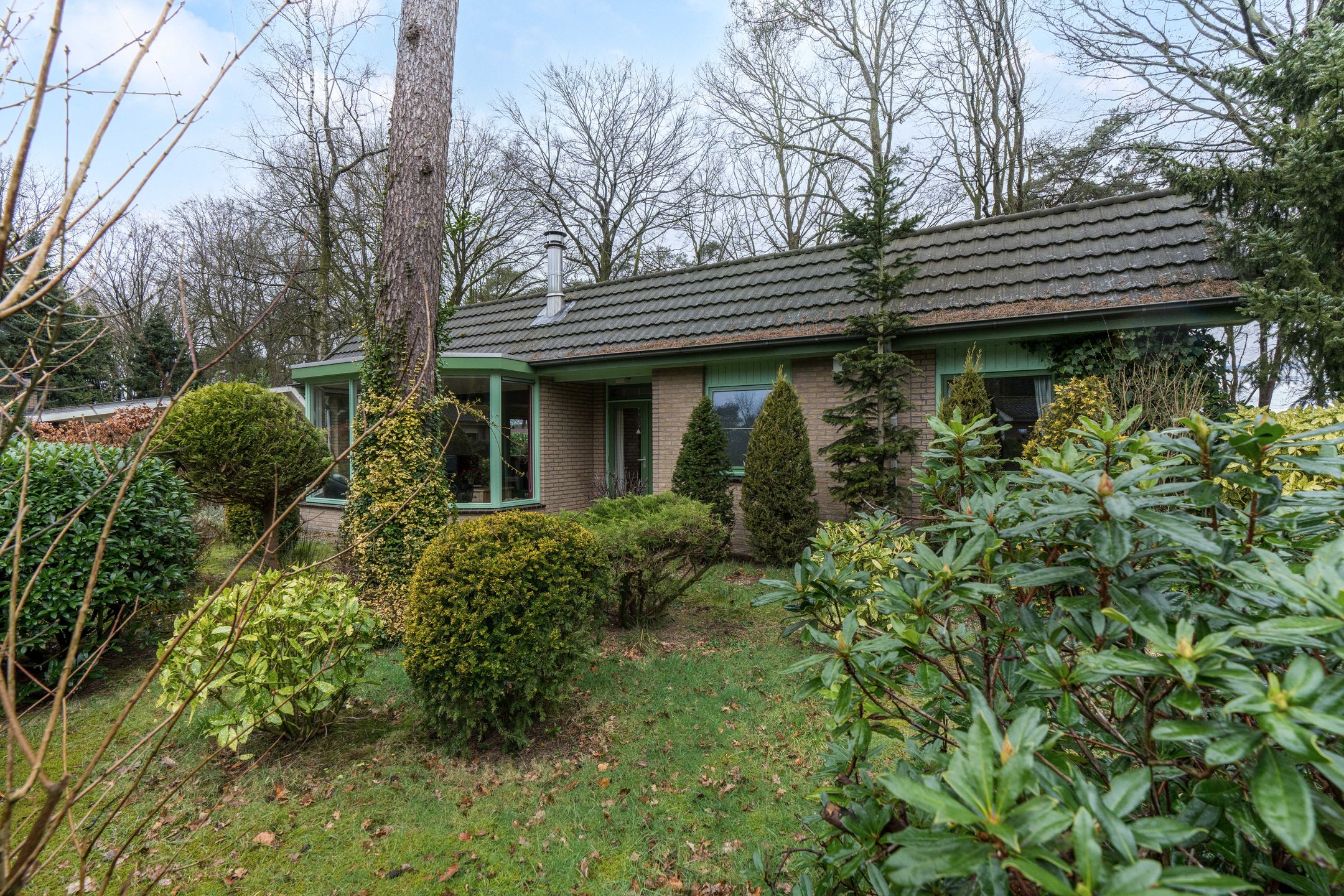 Photo 27 of Kievit 12-B020