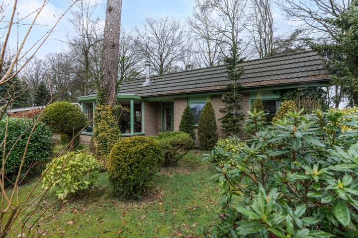 Photo 27 of Kievit 12-B020