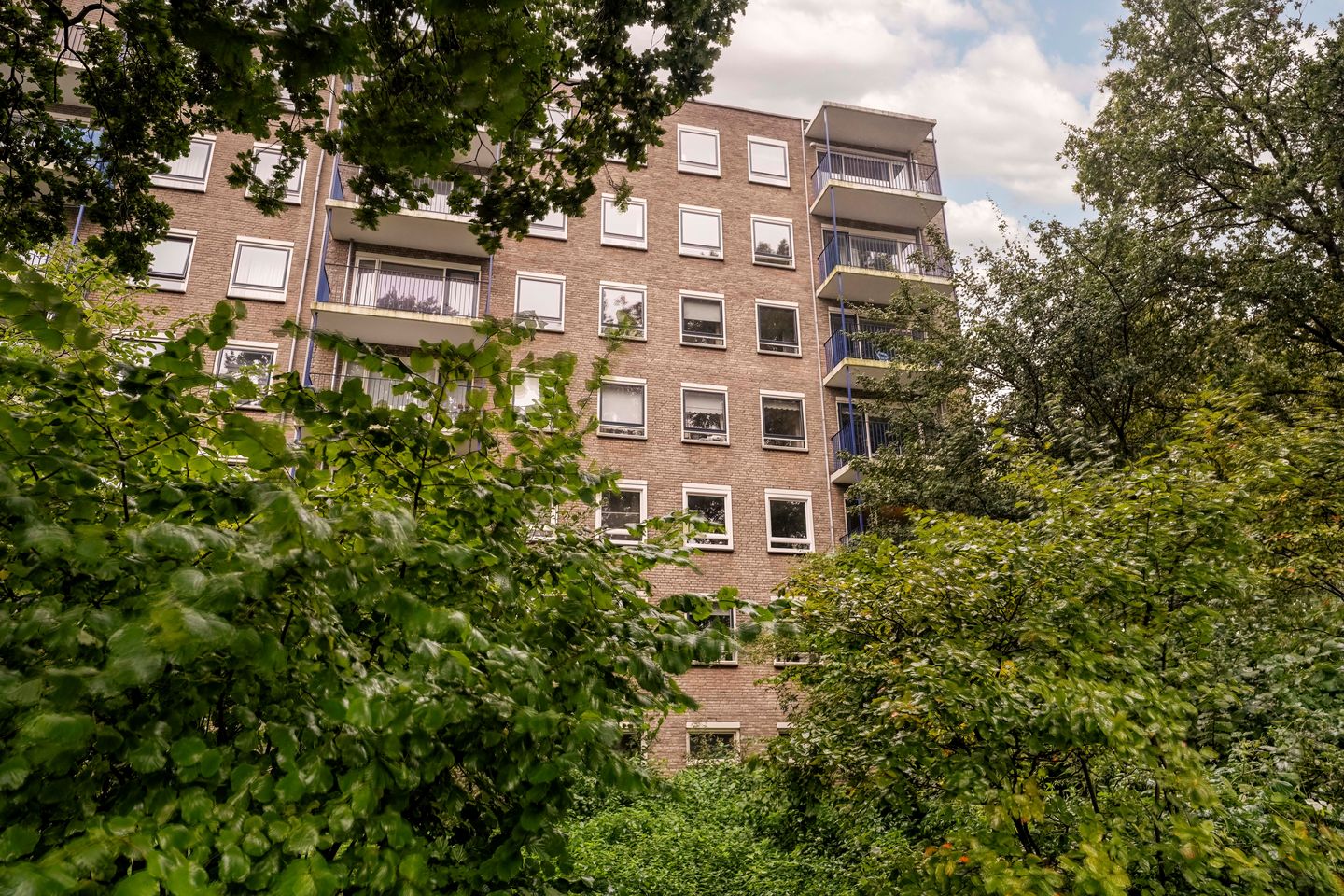 Foto 4 van Aert van Neslaan 428