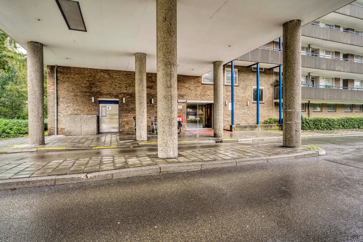 Foto 5 van Aert van Neslaan 428