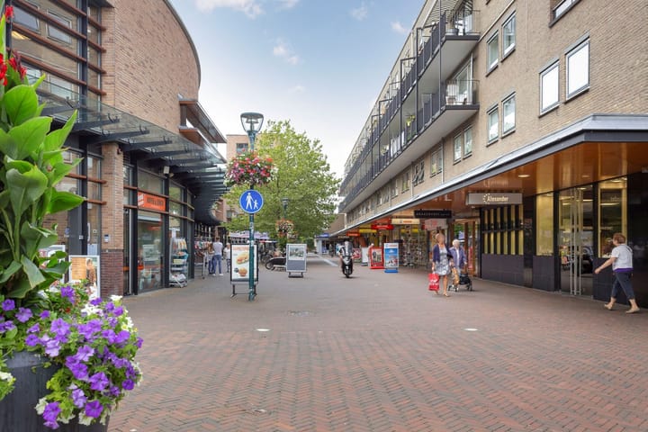 Foto 32 van Aert van Neslaan 428