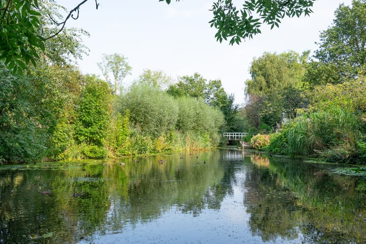 Foto 38 van Schepenlaan 19