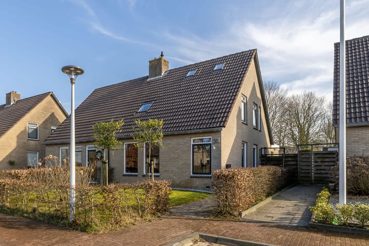 undefined main image