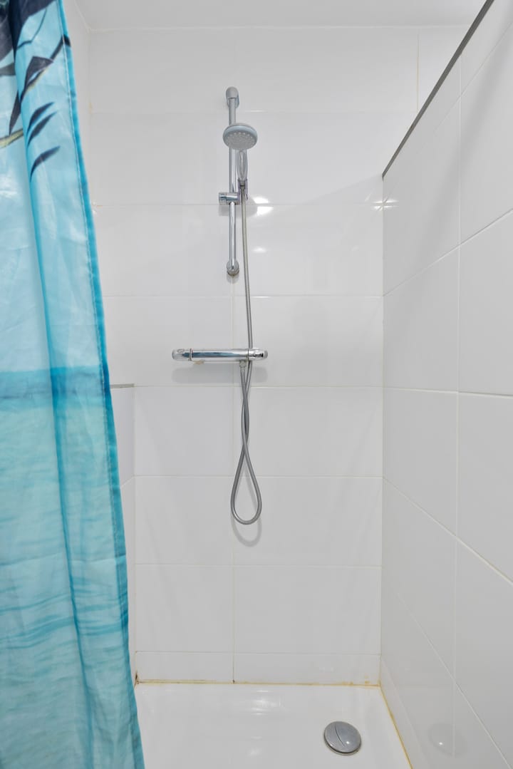 Foto 46 van Rotterdamsedijk 170-B