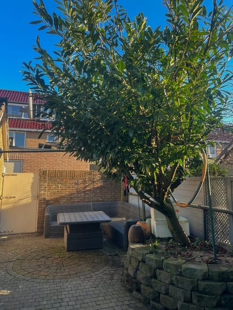 Foto 33 van Diezestraat 10