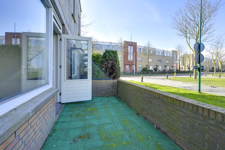 Foto 11 van Gletsjermeer 4