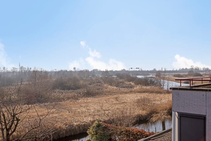 Foto 38 van Triangelhof 154