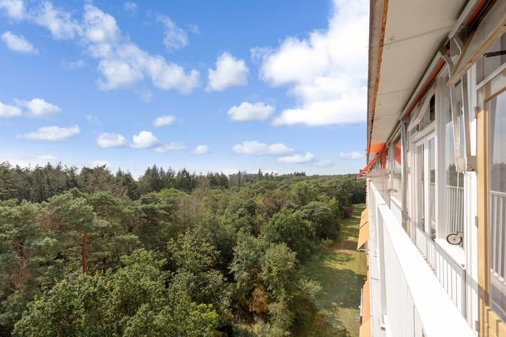 Photo 24 of Anna Paulownalaan 143