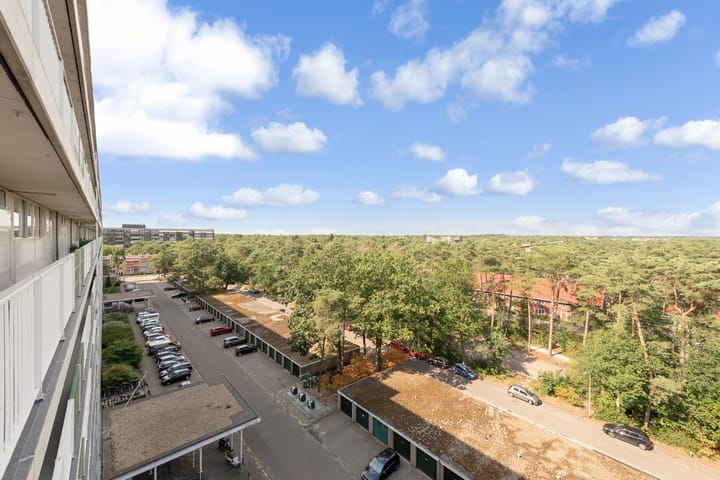 Photo 25 of Anna Paulownalaan 143