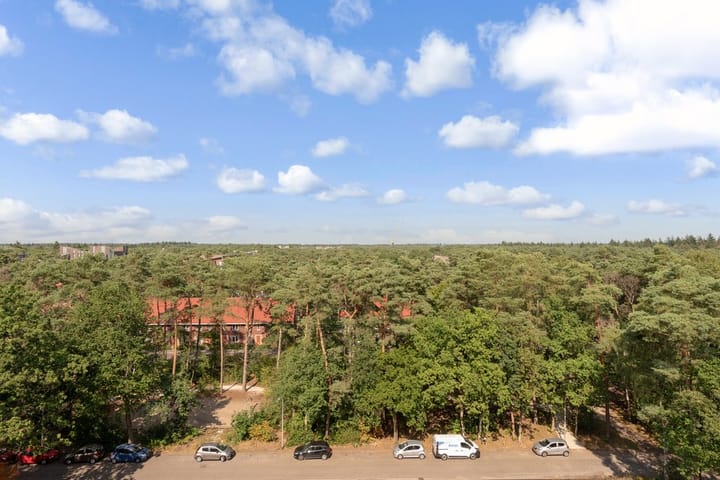 Photo 26 of Anna Paulownalaan 143