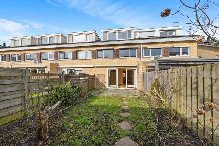 Foto 6 van Koolzaadveld 9