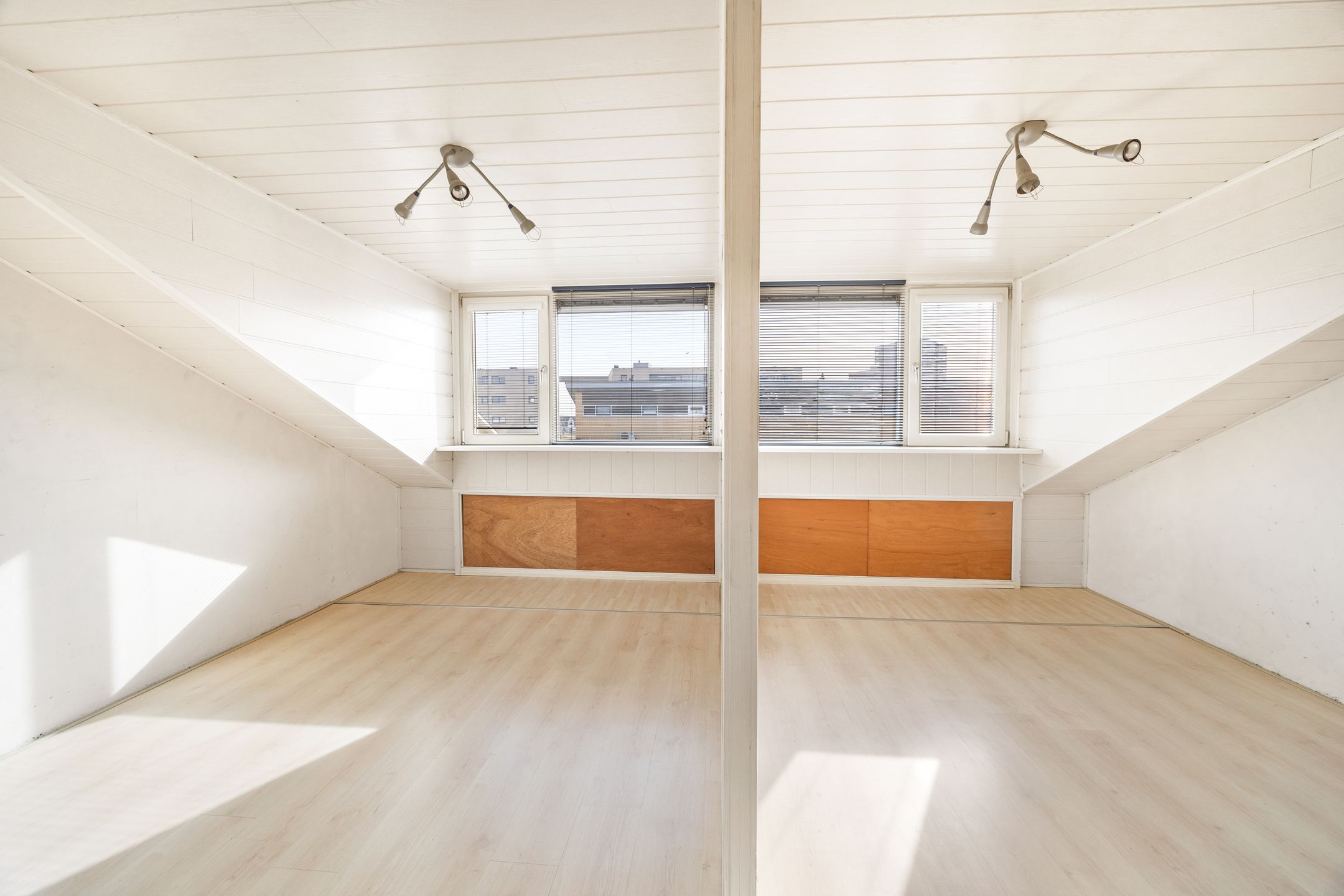 Foto 9 van Koolzaadveld 9