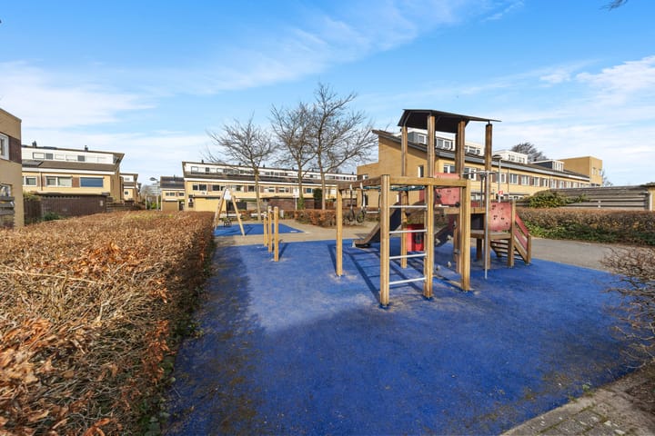 Foto 10 van Koolzaadveld 9